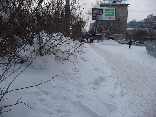 Екатеринбуржцы ударили Твиттером по снегу и Якобу