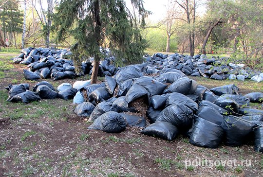 В Дендропарке объяснили неубранные мешки с мусором заботой о газонах