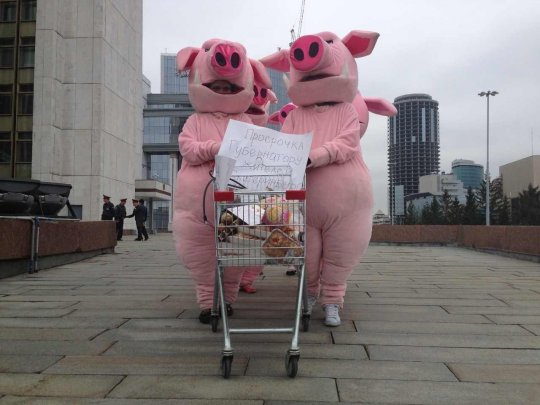 В Екатеринбурге оштрафовали нашистских «свиней»
