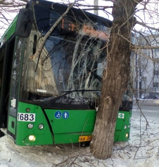 В Екатеринбурге пассажирский автобус врезался в дерево