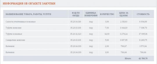 В правительство Свердловской области закупают валенки и сандалии