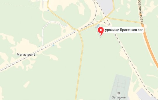 РПЦ просит отдать ей место захоронения царской семьи в Поросенковом логу