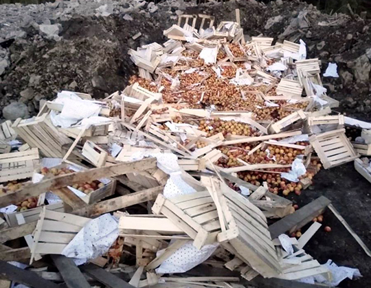 В Екатеринбурге уничтожили 18 тонн персиков, слив и нектаринов