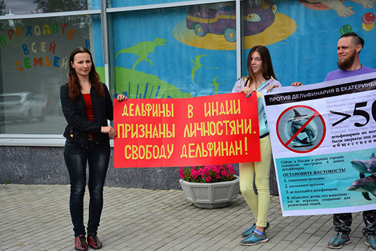 В Екатеринбурге откроется дельфинарий, против которого протестовали зоозащитники и Ройзман