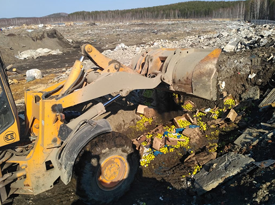 На Урале уничтожили полторы тонны фруктов и грибов
