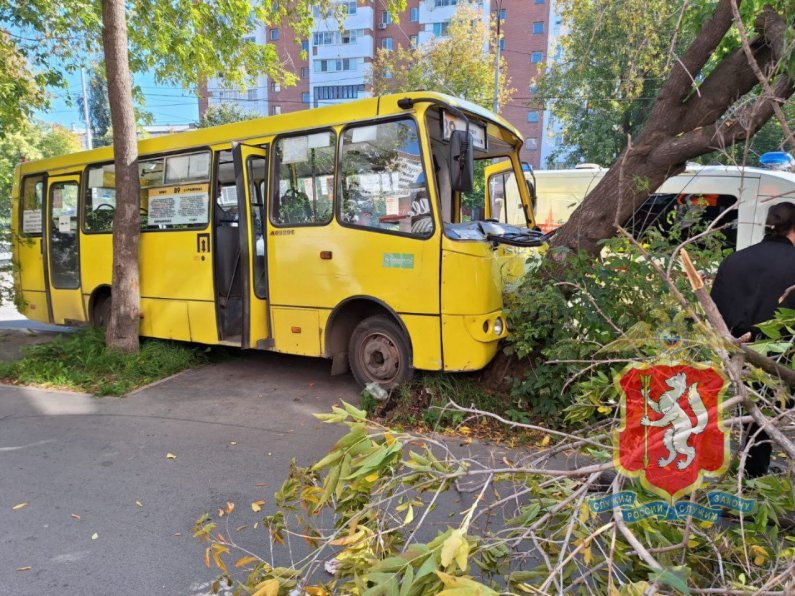 В Екатеринбурге пассажирский автобус врезался в дерево